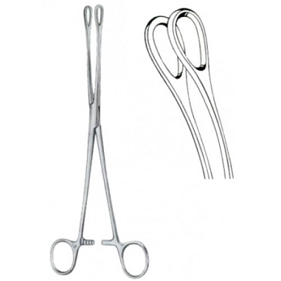 Foerster Sponge  Forceps